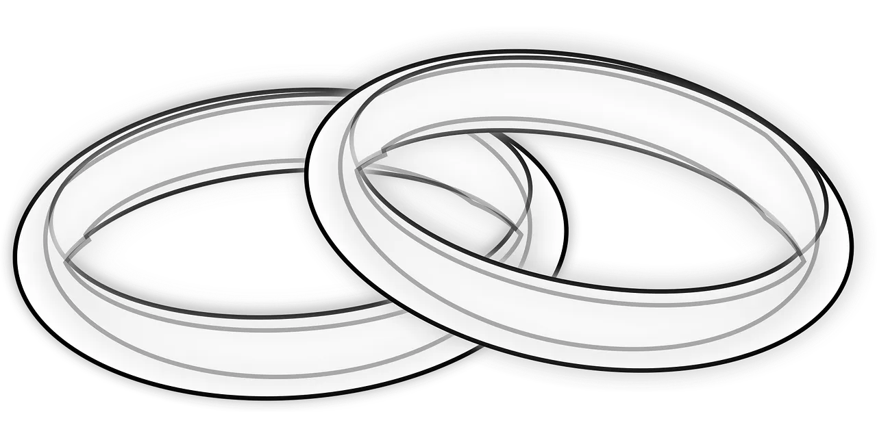 partner-logo-tyndale